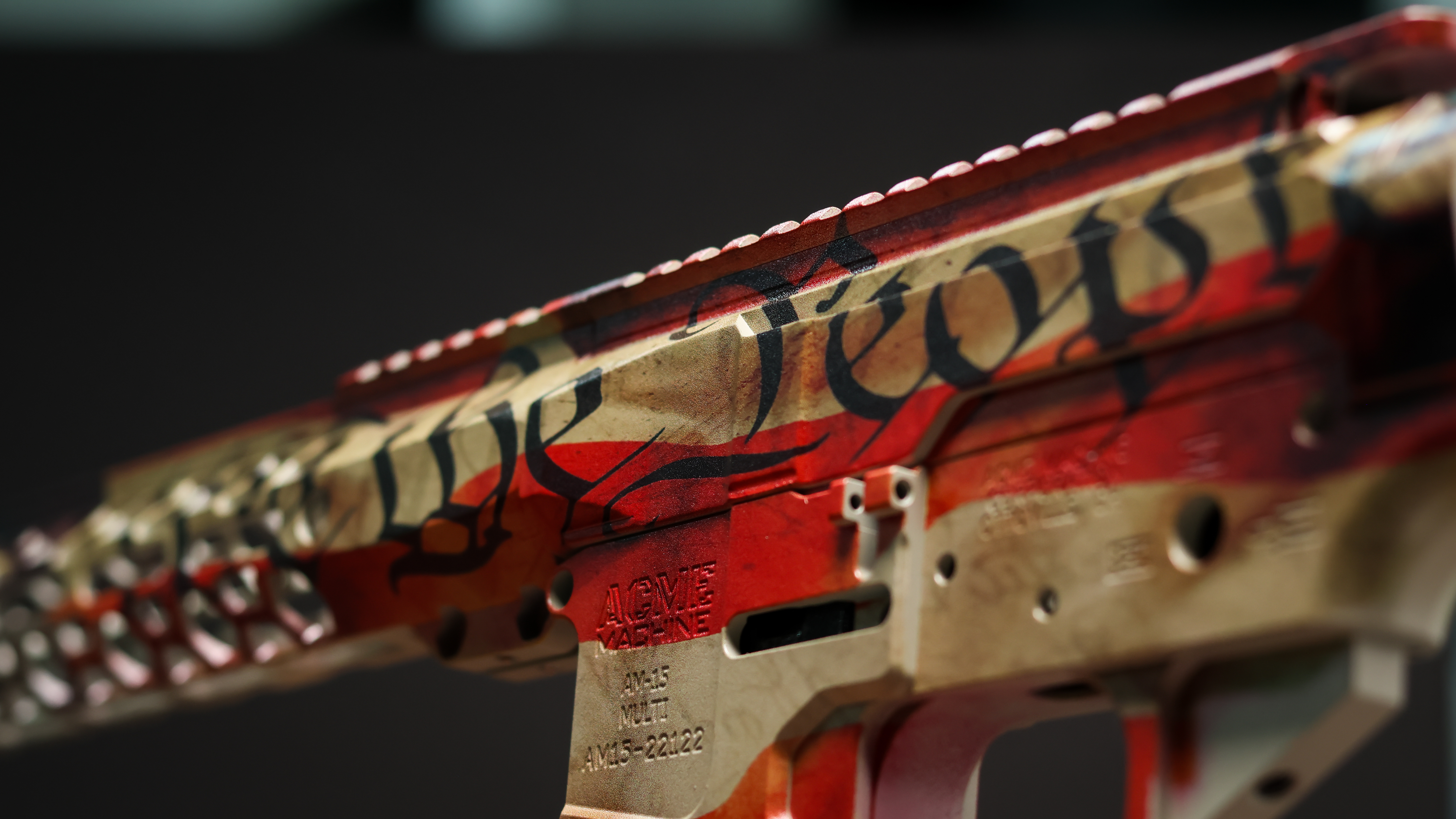 We the People custom AR 15